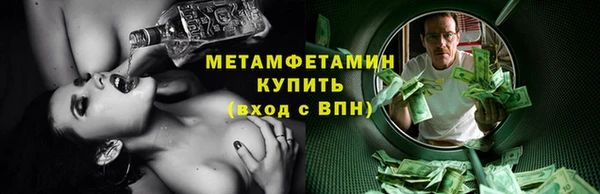 прущие грибы Иннополис