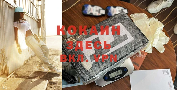 прущие грибы Иннополис