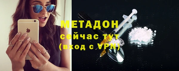 прущие грибы Иннополис
