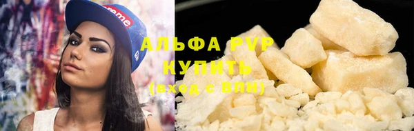 прущие грибы Иннополис