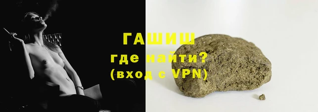 прущие грибы Иннополис