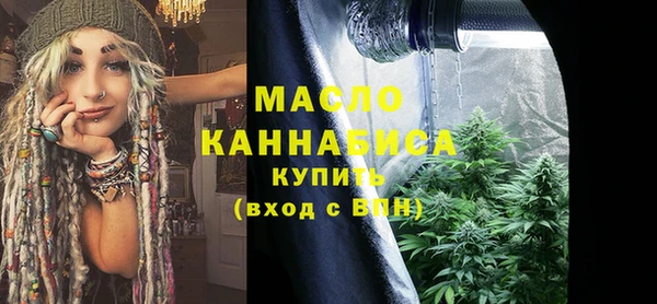 эйфоретик Каменка