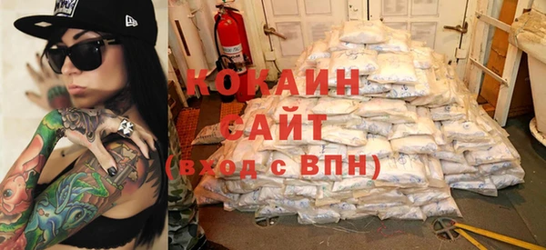 прущие грибы Иннополис