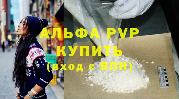 прущие грибы Иннополис